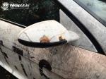 BMW M6 Coupe by WrapStyle 2016 года